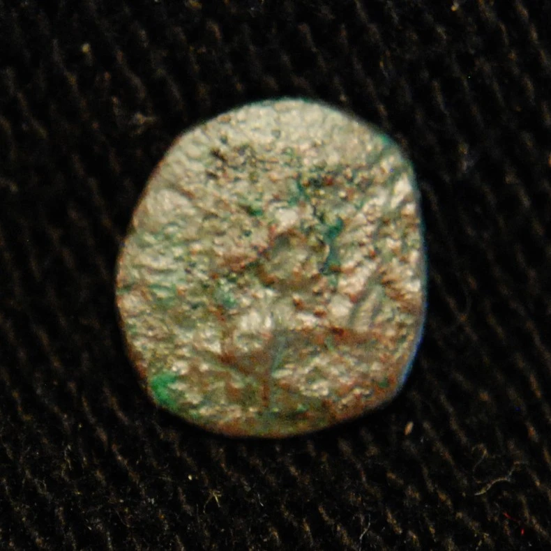 �-Athens-.-A-Teensy-Weensy-Little-Owl